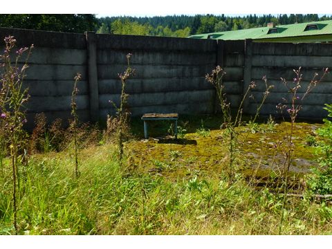 Foto 99
